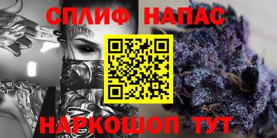 apvp Канаш